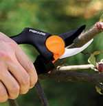 Etêtage d’arbre pour tout